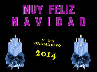 Y U N 
G R A N D I O S O 
2 0 1 4 
