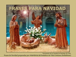 FRASES PARA NAVIDAD
Frases de Navidad preparadas por miembros del Sodalicio de Vida Cristiana (Sodalitium)
Nacimiento de la Catedral de Santiago de Chile
 