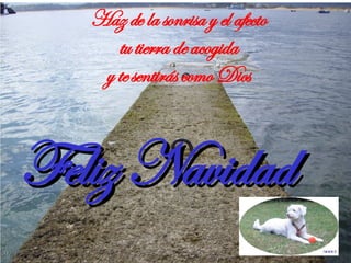 Feliz Navidad Haz de la sonrisa y el afecto tu tierra de acogida y te sentirás como Dios 