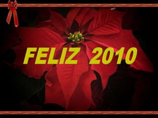 FELIZ  2010 