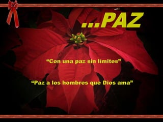 ...PAZ“Con una paz sin límites”“Paz a los hombres que Dios ama”