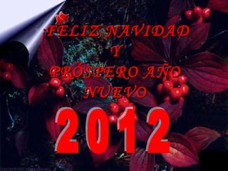 ¡ FELIZ NAVIDAD Y PRÓSPERO AÑO NUEVO 2012 