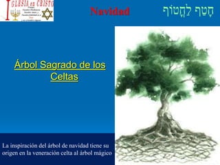 Navidad
Árbol Sagrado de los
Celtas
La inspiración del árbol de navidad tiene su
origen en la veneración celta al árbol mágico
 