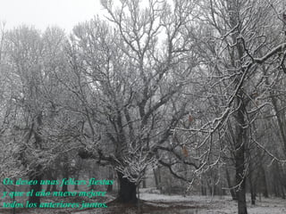 Os deseo unas felices fiestas
y que el año nuevo mejore
todos los anteriores juntos.
 