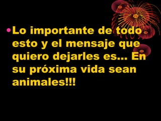•Lo importante de todo
 esto y el mensaje que
 quiero dejarles es… En
 su próxima vida sean
 animales!!!
 