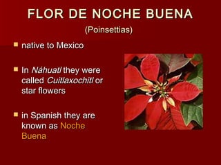 FLOR DE NOCHE BUENA
                       (Poinsettias)
   native to Mexico

   In Náhuatl they were
    called Cuitlaxochitl or
    star flowers

   in Spanish they are
    known as Noche
    Buena
 