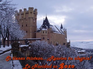 Si tienes tristeza...¡Reaviva tu alegría!
        La Navidad es Gozo
 