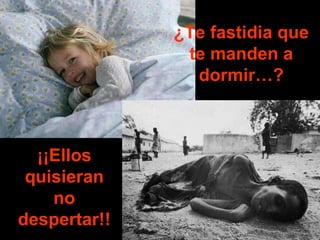 ¿Te fastidia que te manden a dormir…? ¡¡Ellos quisieran no despertar!! 