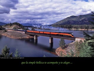 que la simple belleza te acompañe y te alegre ...
 