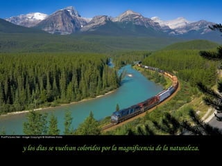 y los días se vuelvan coloridos por la magnificencia de la naturaleza.
 