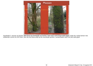 Mossen
Voorbeeld 2: mossen op bomen. Niet perse op noordzijde van bomen, meer waar vocht langst blijft liggen. Zoek dus re...