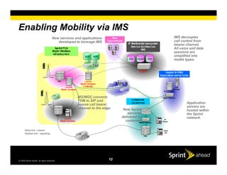 Navigating the VoIP Cross-Roads