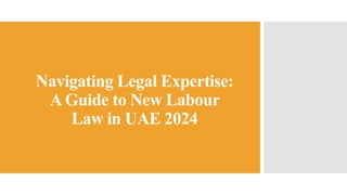 Navigating Legal Expertise:
A Guide to New Labour
Law in UAE 2024
 