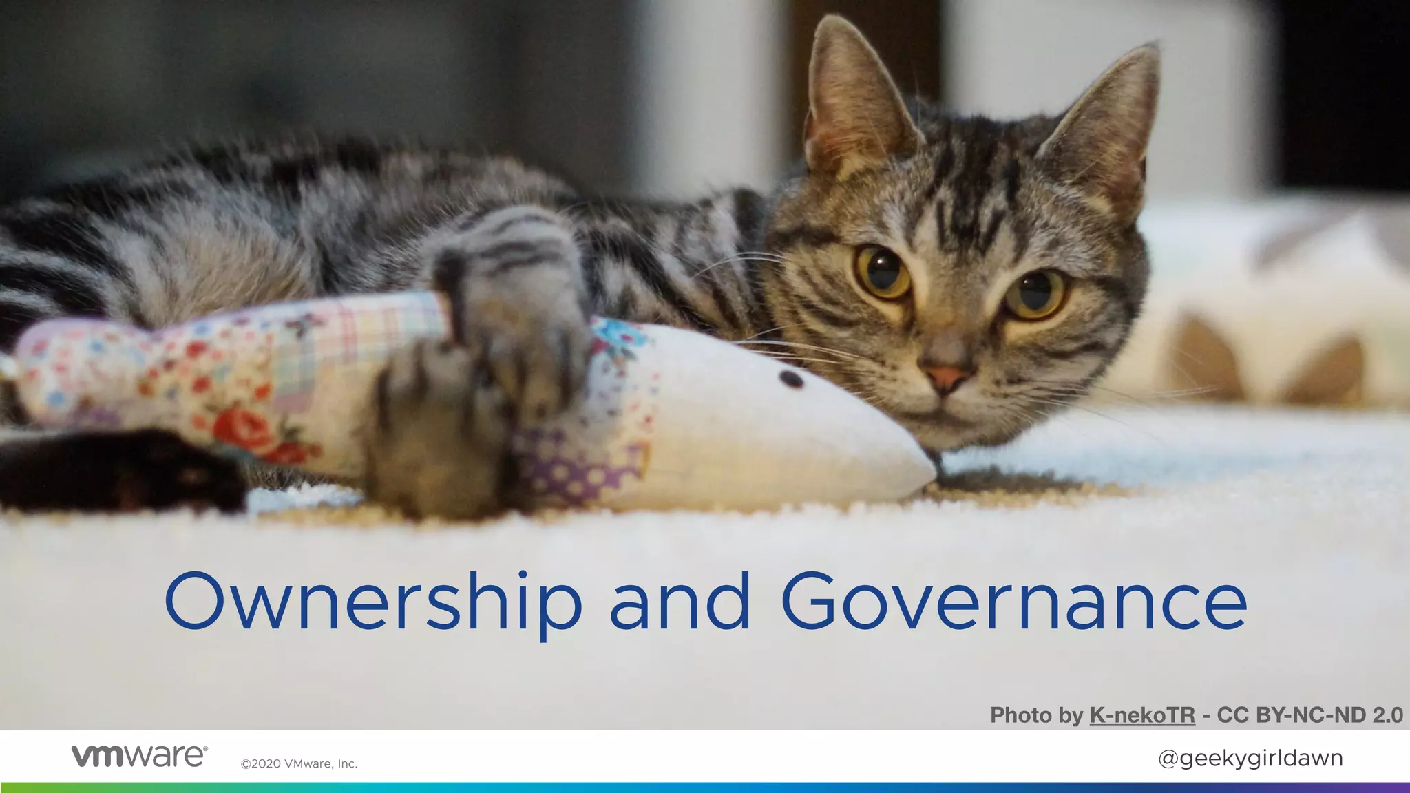 ©2020 VMware, Inc. @geekygirldawn
Ownership and Governance
Photo by K-nekoTR - CC BY-NC-ND 2.0
 