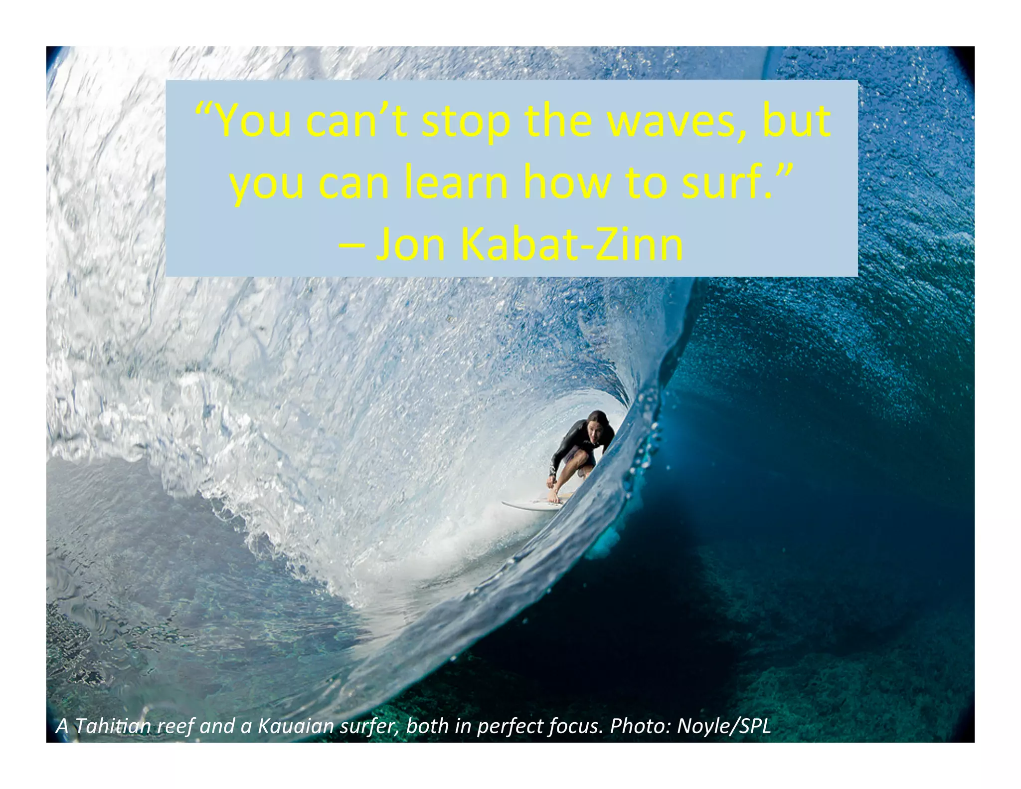 “You	
  can’t	
  stop	
  the	
  waves,	
  but	
  
                       you	
  can	
  learn	
  how	
  to	
  surf.”	
  	
  
                               –	
  Jon	
  Kabat-­‐Zinn	
  




A	
  Tahi'an	
  reef	
  and	
  a	
  Kauaian	
  surfer,	
  both	
  in	
  perfect	
  focus.	
  Photo:	
  Noyle/SPL	
  
                www.bizlearning.net	
  
 