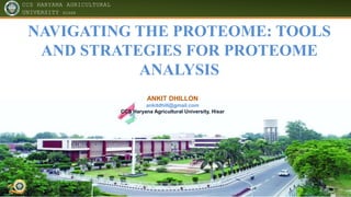 CCS HARYANA AGRICULTURAL
UNIVERSITY HISAR
@sonulangay
NAVIGATING THE PROTEOME: TOOLS
AND STRATEGIES FOR PROTEOME
ANALYSIS
ANKIT DHILLON
ankitdhill@gmail.com
CCS Haryana Agricultural University, Hisar
 