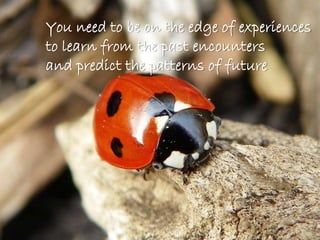 You need to be on the edge of experiences 
to learn from the past encounters 
and predict the patterns of future 
 