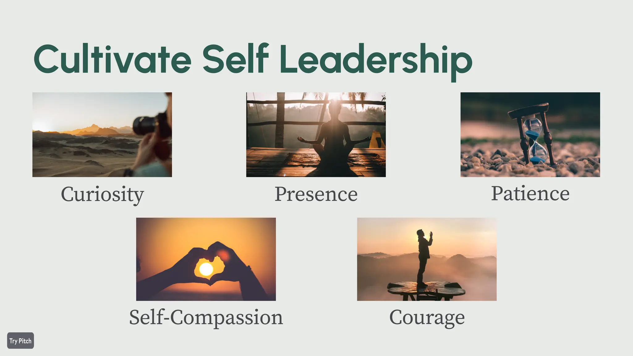 Patience
Presence
Curiosity
Courage
Self-Compassion
 