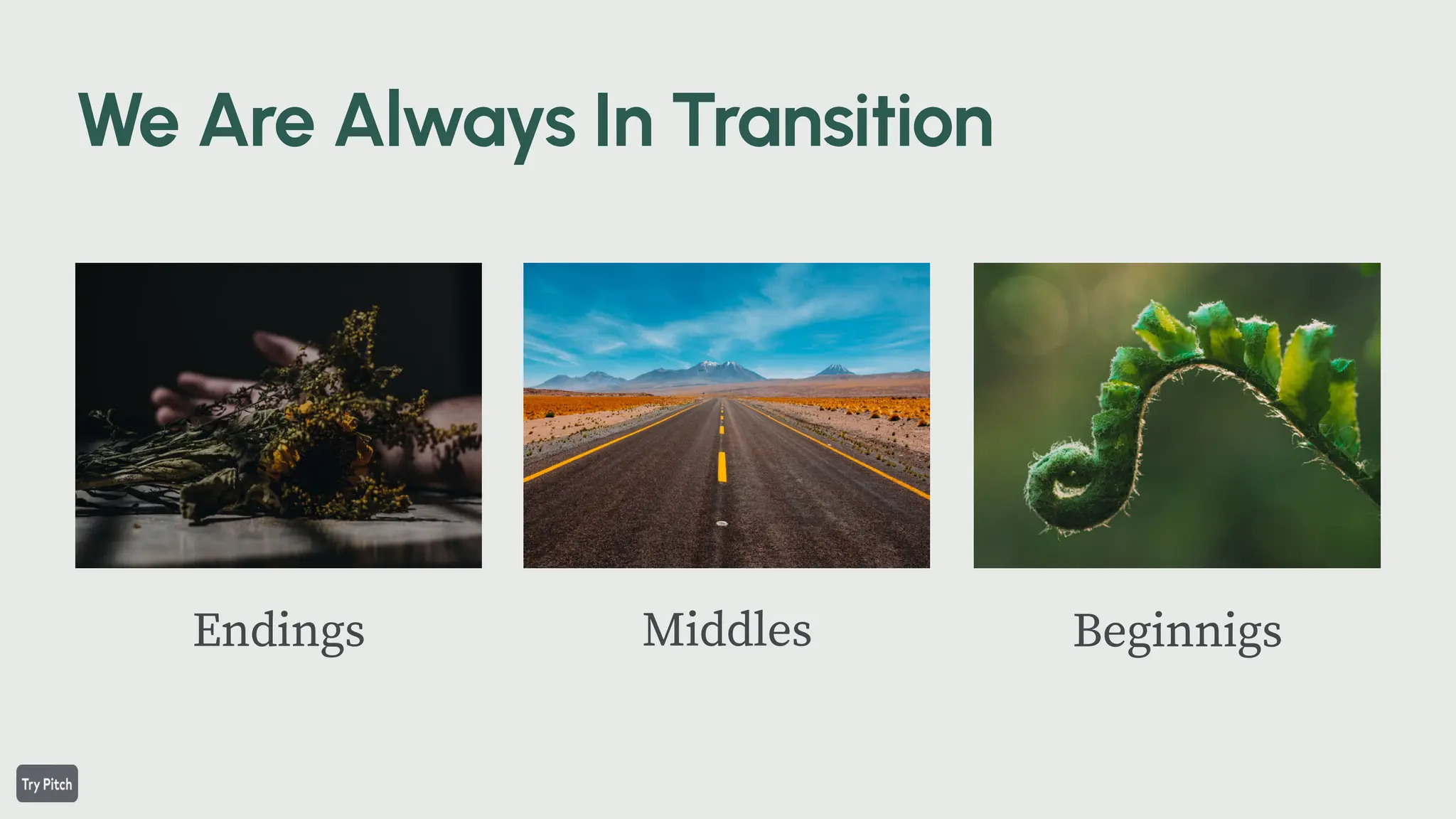 Beginnigs
Middles
Endings
 