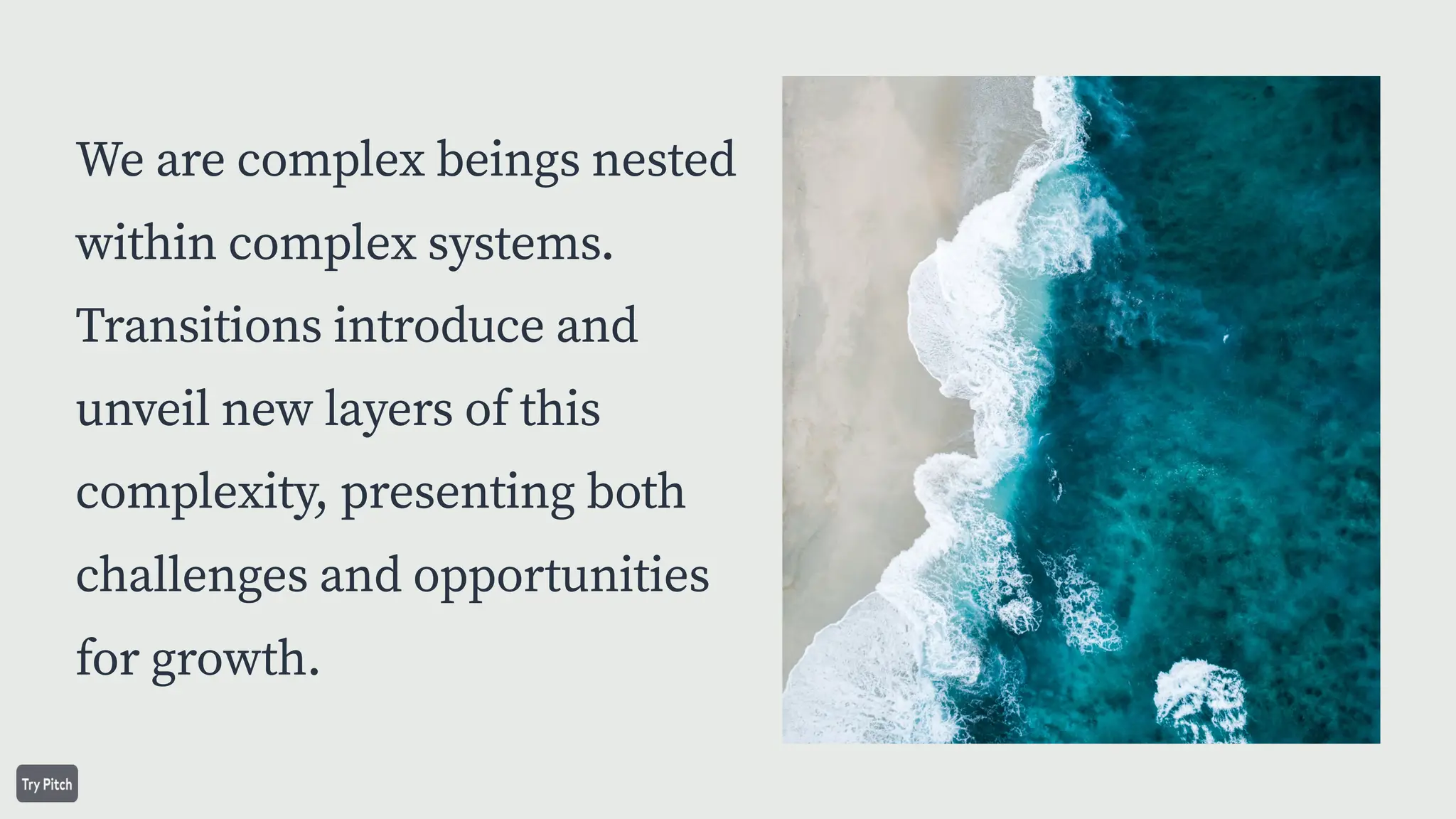 We are complex beings nested
within complex systems.
Transitions introduce and
unveil new layers of this
complexity, presenting both
challenges and opportunities
for growth.
 