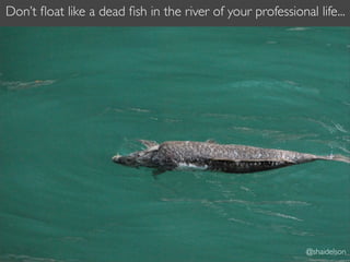 Don’t ﬂoat like a dead ﬁsh in the river of your professional life...




                                                            @shaidelson
 