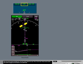 B787 Navigation displays