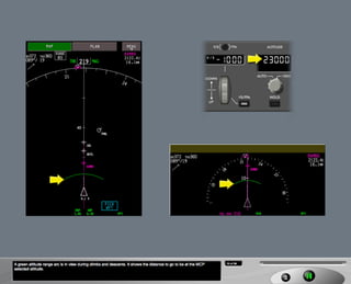 B787 Navigation displays