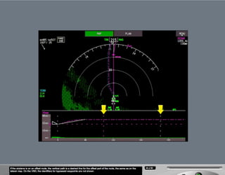 B787 Navigation displays