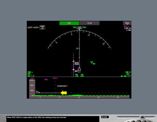 B787 Navigation displays
