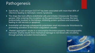 Pathogenesis
 Specifically, E coli serotype O157:H7 has been associated with more than 80% of
infections leading to Hemolytic Uremic Syndrome.
 The shiga-like toxin affects endothelial cells and initiates intravascular thrombo-
genesis. After entering the circulation via the gastrointestinal mucosa, the toxin
preferentially localizes to the kidneys, inhibiting protein synthesis and eventually
leading to cell necrosis or apoptosis.
 Endothelial cell damage subsequently potentiates renal microvascular thrombosis by
promoting activation of the blood coagulation cascade.
 Platelet aggregation results in a consumptive thrombocytopenia. Microangiopathic
hemolytic anemia results from mechanical damage to red blood cells circulating
through partially occluded microcirculation.
 