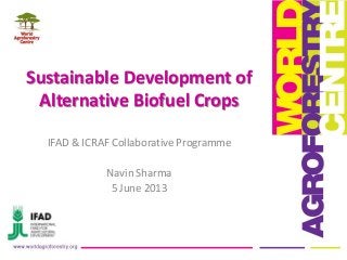 Sustainable Development of
Alternative Biofuel Crops
IFAD & ICRAF Collaborative Programme
Navin Sharma
5 June 2013
 