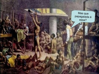 Mas que papagaiada é essa? 