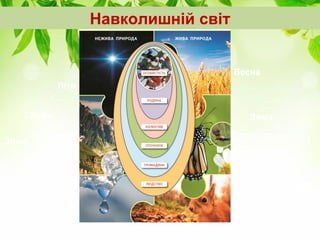 Навколишній світ
Весна
Осінь
Зима
Літо
Осінь
Весна
Літо
Зима
Весна
Осінь
Зима
Літо
Осінь
Весна
Літо
Зима
 