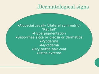 -Dermatological signs
•Alopecia(usually bilateral symmetric)
“Rat tail”
•Hyperpigmentation
•Seborrhea sicca or oleosa or dermatitis
•Pyoderma
•Myxedema
•Dry,brittle hair coat
•Otitis externa
 