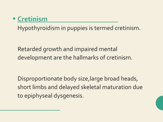 • Cretinism
Hypothyroidism in puppies is termed cretinism.
Retarded growth and impaired mental
development are the hallmarks of cretinism.
Disproportionate body size,large broad heads,
short limbs and delayed skeletal maturation due
to epiphyseal dysgenesis.
 