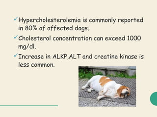 Hypercholesterolemia is commonly reported
in 80% of affected dogs.
Cholesterol concentration can exceed 1000
mg/dl.
Increase in ALKP,ALT and creatine kinase is
less common.
 