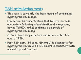 TSH stimulation test:-
• This test is currently the best means of confirming
hypothyroidism in dogs.
• Low serum T4 concentration that fails to increase
adequately following administration of exogenous,
bovine TSH(0.1 u/kg) confirms a diagnosis of
hypothyroidism in dog.
• Obtain blood sample before and 6 hour after I/V
adm. of TSH.
• Post TSH adm. ,T4 conc. <19 nmol/l is diagnostic for
hypothyroidism while T4 >30 nmol/l is consistent with
normal thyroid function.
 