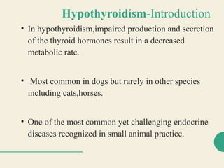 Hypothyroidism-Introduction
• In hypothyroidism,impaired production and secretion
of the thyroid hormones result in a decreased
metabolic rate.
• Most common in dogs but rarely in other species
including cats,horses.
• One of the most common yet challenging endocrine
diseases recognized in small animal practice.
 
