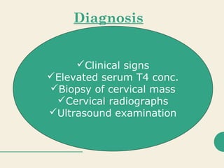 Diagnosis
Clinical signs
Elevated serum T4 conc.
Biopsy of cervical mass
Cervical radiographs
Ultrasound examination
 