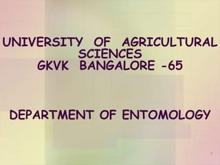 UNIVERSITY OF AGRICULTURAL
SCIENCES
GKVK BANGALORE -65
DEPARTMENT OF ENTOMOLOGY
1
 