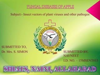 SUBMITTED TO,
Dr. Mrs. S. SIMON SUBMITTED BY,
NAVNEET
I.D. NO. – 15MSENT015
Subject:- Insect vectors of plant viruses and other pathogen
 