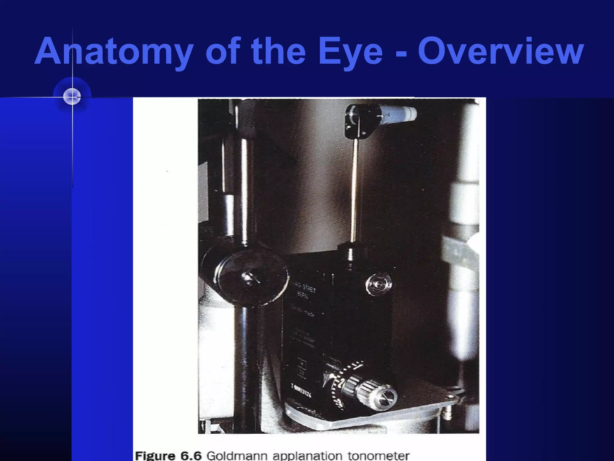 Anatomy of the Eye - Overview
 