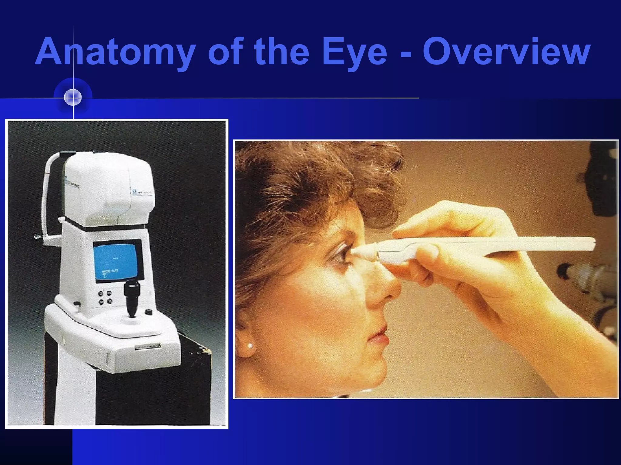 Anatomy of the Eye - Overview
 