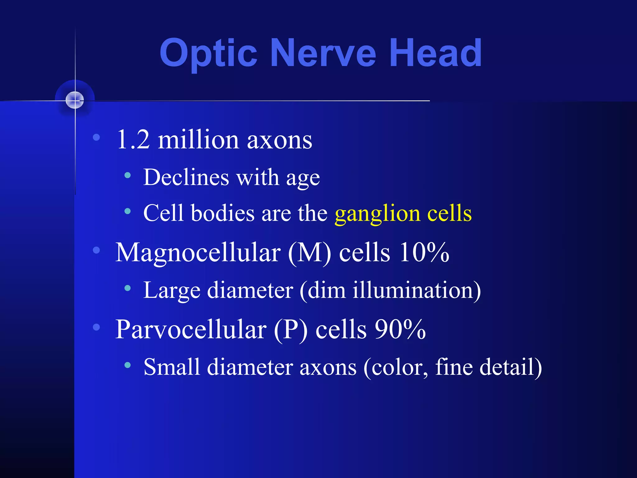 Optic Nerve Head

• 1.2 million axons
  • Declines with age
  • Cell bodies are the ganglion cells
• Magnocellular (M) cells 10%
  • Large diameter (dim illumination)
• Parvocellular (P) cells 90%
  • Small diameter axons (color, fine detail)
 