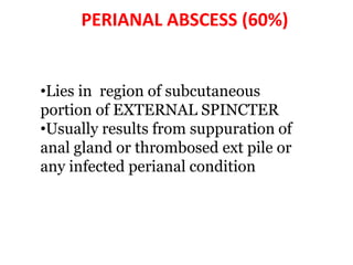 PERIANAL ABSCESS (60%)
•Lies in region of subcutaneous
portion of EXTERNAL SPINCTER
•Usually results from suppuration of
anal gland or thrombosed ext pile or
any infected perianal condition
 