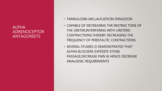 ALPHA
ADRENOCEPTOR
ANTAGONISTS
• TAMSULOSIN (MC),ALFUZOCIN,TERAZOCIN
• CAPABLE OF DECREASING THE RESTING TONE OF
THE URETER,INTERFERING WITH URETERIC
CONTRACTIONS,THEREBY DECREASING THE
FREQUENCY OF PERISTALTIC CONTRACTIONS
• SEVERAL STUDIES D DEMONSTRATED THAT
ALPHA BLOCKERS EXPEDITE STONE
PASSAGE,DECREASE PAIN & HENCE DECREASE
ANALGESIC REQUIREMENTS
 