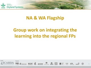 NA & WA Flagship
Group work on integrating the
learning into the regional FPs
1
 