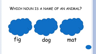 WHICH NOUN IS A NAME OF AN ANIMAL?
fig dog mat
 