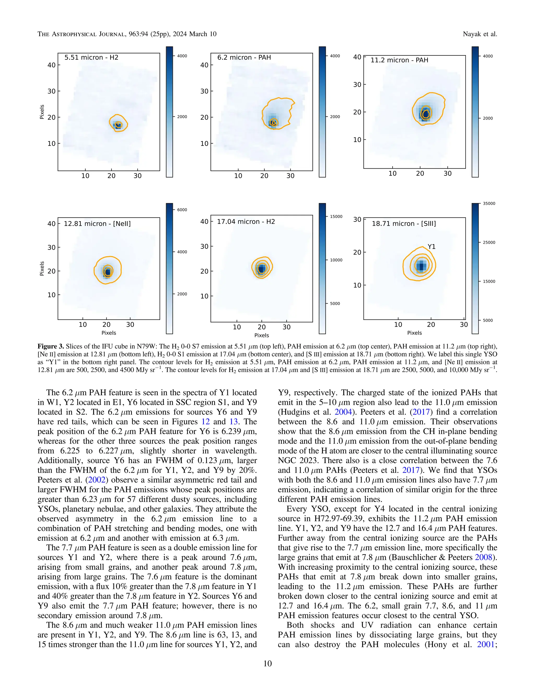 The 6.2 μm PAH feature is seen in the spectra of Y1 located
in W1, Y2 located in E1, Y6 located in SSC region S1, and Y9
located in S2. The 6.2 μm emissions for sources Y6 and Y9
have red tails, which can be seen in Figures 12 and 13. The
peak position of the 6.2 μm PAH feature for Y6 is 6.239 μm,
whereas for the other three sources the peak position ranges
from 6.225 to 6.227 μm, slightly shorter in wavelength.
Additionally, source Y6 has an FWHM of 0.123 μm, larger
than the FWHM of the 6.2 μm for Y1, Y2, and Y9 by 20%.
Peeters et al. (2002) observe a similar asymmetric red tail and
larger FWHM for the PAH emissions whose peak positions are
greater than 6.23 μm for 57 different dusty sources, including
YSOs, planetary nebulae, and other galaxies. They attribute the
observed asymmetry in the 6.2 μm emission line to a
combination of PAH stretching and bending modes, one with
emission at 6.2 μm and another with emission at 6.3 μm.
The 7.7 μm PAH feature is seen as a double emission line for
sources Y1 and Y2, where there is a peak around 7.6 μm,
arising from small grains, and another peak around 7.8 μm,
arising from large grains. The 7.6 μm feature is the dominant
emission, with a ﬂux 10% greater than the 7.8 μm feature in Y1
and 40% greater than the 7.8 μm feature in Y2. Sources Y6 and
Y9 also emit the 7.7 μm PAH feature; however, there is no
secondary emission around 7.8 μm.
The 8.6 μm and much weaker 11.0 μm PAH emission lines
are present in Y1, Y2, and Y9. The 8.6 μm line is 63, 13, and
15 times stronger than the 11.0 μm line for sources Y1, Y2, and
Y9, respectively. The charged state of the ionized PAHs that
emit in the 5–10 μm region also lead to the 11.0 μm emission
(Hudgins et al. 2004). Peeters et al. (2017) ﬁnd a correlation
between the 8.6 and 11.0 μm emission. Their observations
show that the 8.6 μm emission from the CH in-plane bending
mode and the 11.0 μm emission from the out-of-plane bending
mode of the H atom are closer to the central illuminating source
NGC 2023. There also is a close correlation between the 7.6
and 11.0 μm PAHs (Peeters et al. 2017). We ﬁnd that YSOs
with both the 8.6 and 11.0 μm emission lines also have 7.7 μm
emission, indicating a correlation of similar origin for the three
different PAH emission lines.
Every YSO, except for Y4 located in the central ionizing
source in H72.97-69.39, exhibits the 11.2 μm PAH emission
line. Y1, Y2, and Y9 have the 12.7 and 16.4 μm PAH features.
Further away from the central ionizing source are the PAHs
that give rise to the 7.7 μm emission line, more speciﬁcally the
large grains that emit at 7.8 μm (Bauschlicher & Peeters 2008).
With increasing proximity to the central ionizing source, these
PAHs that emit at 7.8 μm break down into smaller grains,
leading to the 11.2 μm emission. These PAHs are further
broken down closer to the central ionizing source and emit at
12.7 and 16.4 μm. The 6.2, small grain 7.7, 8.6, and 11 μm
PAH emission features occur closest to the central YSO.
Both shocks and UV radiation can enhance certain
PAH emission lines by dissociating large grains, but they
can also destroy the PAH molecules (Hony et al. 2001;
Figure 3. Slices of the IFU cube in N79W: The H2 0-0 S7 emission at 5.51 μm (top left), PAH emission at 6.2 μm (top center), PAH emission at 11.2 μm (top right),
[Ne II] emission at 12.81 μm (bottom left), H2 0-0 S1 emission at 17.04 μm (bottom center), and [S III] emission at 18.71 μm (bottom right). We label this single YSO
as “Y1” in the bottom right panel. The contour levels for H2 emission at 5.51 μm, PAH emission at 6.2 μm, PAH emission at 11.2 μm, and [Ne II] emission at
12.81 μm are 500, 2500, and 4500 MJy sr−1
. The contour levels for H2 emission at 17.04 μm and [S III] emission at 18.71 μm are 2500, 5000, and 10,000 MJy sr−1
.
10
The Astrophysical Journal, 963:94 (25pp), 2024 March 10 Nayak et al.
 