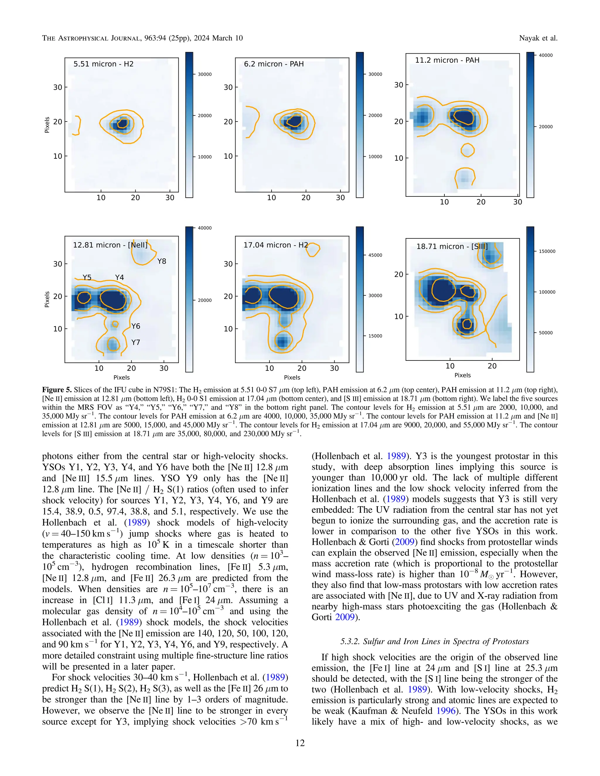photons either from the central star or high-velocity shocks.
YSOs Y1, Y2, Y3, Y4, and Y6 have both the [Ne II] 12.8 μm
and [Ne III] 15.5 μm lines. YSO Y9 only has the [Ne II]
12.8 μm line. The [Ne II] / H2 S(1) ratios (often used to infer
shock velocity) for sources Y1, Y2, Y3, Y4, Y6, and Y9 are
15.4, 38.9, 0.5, 97.4, 38.8, and 5.1, respectively. We use the
Hollenbach et al. (1989) shock models of high-velocity
(v = 40–150 km s−1
) jump shocks where gas is heated to
temperatures as high as 105
K in a timescale shorter than
the characteristic cooling time. At low densities (n = 103
–
105
cm−3
), hydrogen recombination lines, [Fe II] 5.3 μm,
[Ne II] 12.8 μm, and [Fe II] 26.3 μm are predicted from the
models. When densities are n = 105
–107
cm−3
, there is an
increase in [Cl I] 11.3 μm, and [Fe I] 24 μm. Assuming a
molecular gas density of n = 104
–105
cm−3
and using the
Hollenbach et al. (1989) shock models, the shock velocities
associated with the [Ne II] emission are 140, 120, 50, 100, 120,
and 90 km s−1
for Y1, Y2, Y3, Y4, Y6, and Y9, respectively. A
more detailed constraint using multiple ﬁne-structure line ratios
will be presented in a later paper.
For shock velocities 30–40 km s−1
, Hollenbach et al. (1989)
predict H2 S(1), H2 S(2), H2 S(3), as well as the [Fe II] 26 μm to
be stronger than the [Ne II] line by 1–3 orders of magnitude.
However, we observe the [Ne II] line to be stronger in every
source except for Y3, implying shock velocities >70 km s−1
(Hollenbach et al. 1989). Y3 is the youngest protostar in this
study, with deep absorption lines implying this source is
younger than 10,000 yr old. The lack of multiple different
ionization lines and the low shock velocity inferred from the
Hollenbach et al. (1989) models suggests that Y3 is still very
embedded: The UV radiation from the central star has not yet
begun to ionize the surrounding gas, and the accretion rate is
lower in comparison to the other ﬁve YSOs in this work.
Hollenbach & Gorti (2009) ﬁnd shocks from protostellar winds
can explain the observed [Ne II] emission, especially when the
mass accretion rate (which is proportional to the protostellar
wind mass-loss rate) is higher than 10−8
Me yr−1
. However,
they also ﬁnd that low-mass protostars with low accretion rates
are associated with [Ne II], due to UV and X-ray radiation from
nearby high-mass stars photoexciting the gas (Hollenbach &
Gorti 2009).
5.3.2. Sulfur and Iron Lines in Spectra of Protostars
If high shock velocities are the origin of the observed line
emission, the [Fe I] line at 24 μm and [S I] line at 25.3 μm
should be detected, with the [S I] line being the stronger of the
two (Hollenbach et al. 1989). With low-velocity shocks, H2
emission is particularly strong and atomic lines are expected to
be weak (Kaufman & Neufeld 1996). The YSOs in this work
likely have a mix of high- and low-velocity shocks, as we
Figure 5. Slices of the IFU cube in N79S1: The H2 emission at 5.51 0-0 S7 μm (top left), PAH emission at 6.2 μm (top center), PAH emission at 11.2 μm (top right),
[Ne II] emission at 12.81 μm (bottom left), H2 0-0 S1 emission at 17.04 μm (bottom center), and [S III] emission at 18.71 μm (bottom right). We label the ﬁve sources
within the MRS FOV as “Y4,” “Y5,” “Y6,” “Y7,” and “Y8” in the bottom right panel. The contour levels for H2 emission at 5.51 μm are 2000, 10,000, and
35,000 MJy sr−1
. The contour levels for PAH emission at 6.2 μm are 4000, 10,000, 35,000 MJy sr−1
. The contour levels for PAH emission at 11.2 μm and [Ne II]
emission at 12.81 μm are 5000, 15,000, and 45,000 MJy sr−1
. The contour levels for H2 emission at 17.04 μm are 9000, 20,000, and 55,000 MJy sr−1
. The contour
levels for [S III] emission at 18.71 μm are 35,000, 80,000, and 230,000 MJy sr−1
.
12
The Astrophysical Journal, 963:94 (25pp), 2024 March 10 Nayak et al.
 